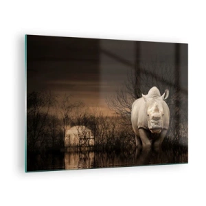 Obraz na skle - Nosorožec proti zapadajúcemu slnku - 70x50cm - Biely proti prírode - Moderná nástenná dekorácia do obývacej izby a spálne ARTTOR