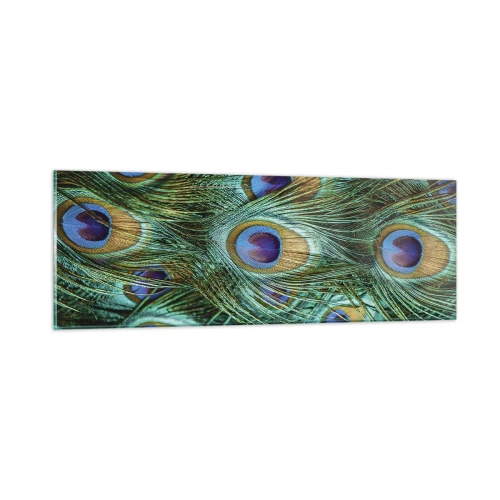 Obraz na skle - Páví pohľad - 90x30 cm