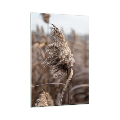 Obraz na skle - Čas odletieť s vetrom - 80x120 cm