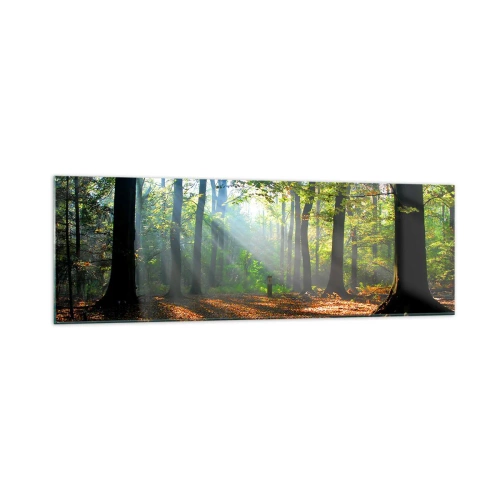 Obraz na skle - Svetlá a tiene - 160x50 cm
