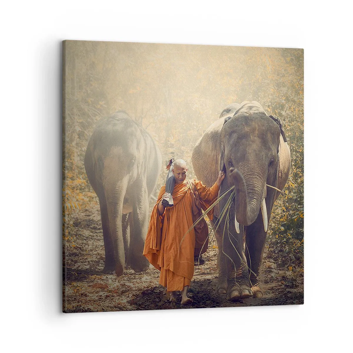 Obraz na plátne - Plné pochopenie - 50x50 cm