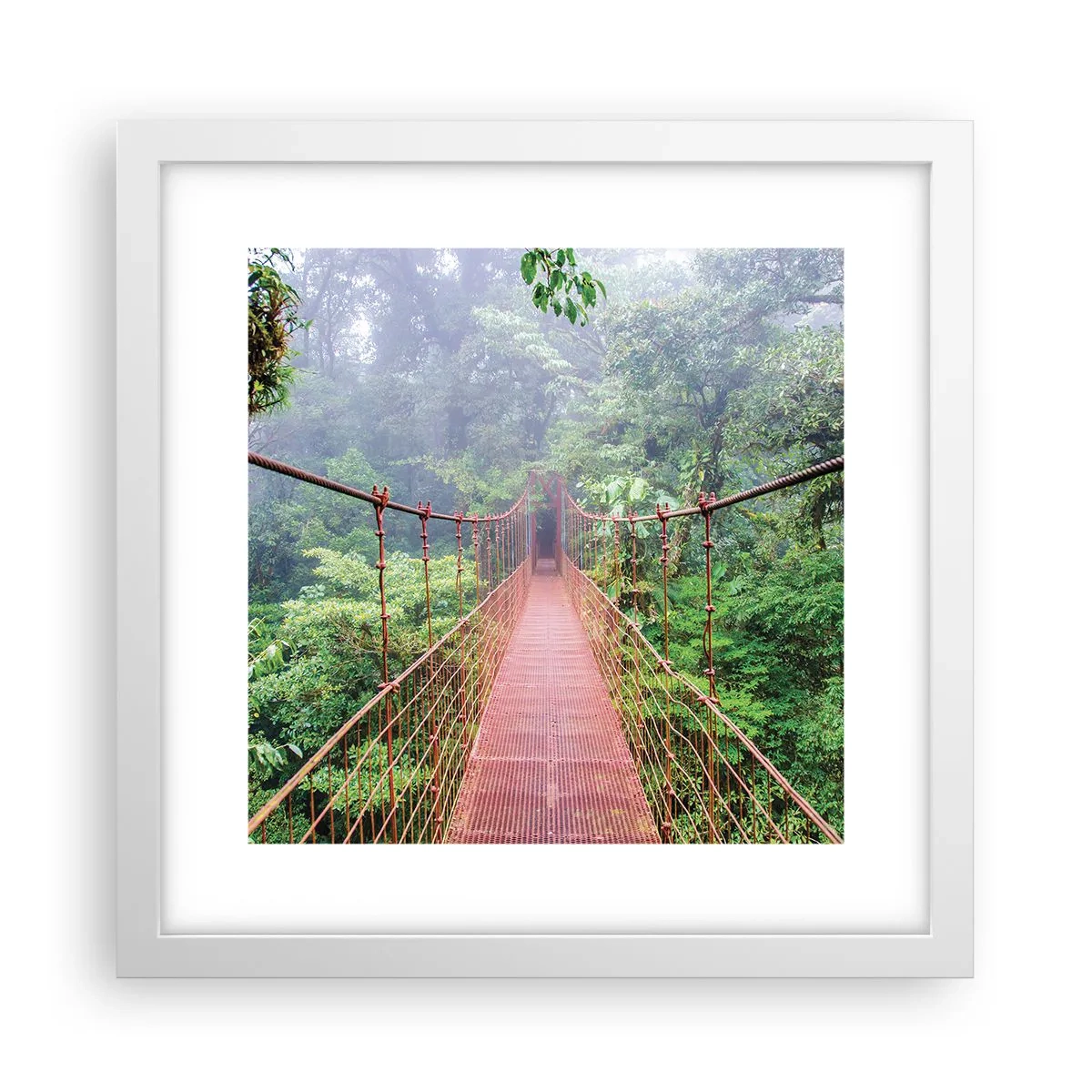 Plagát v bielom ráme - Zavesený nad korunami - 30x30 cm