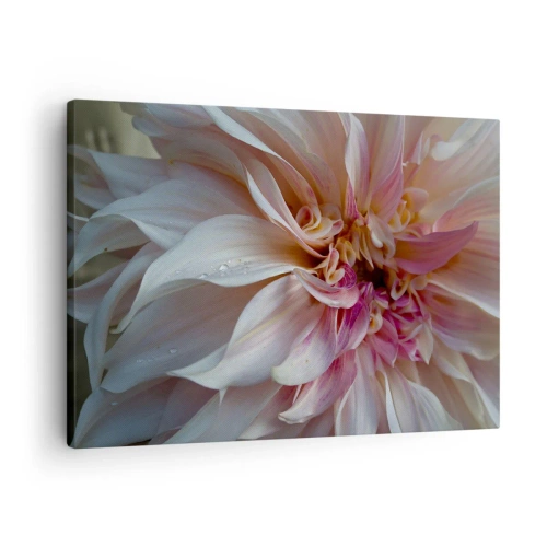 Obraz na plátne - Detailný záber na jemné ružové lupienky s kvapkami vody - 70x50cm - Kvitnúca sviežosť - Moderná nástenná dekorácia do obývacej izby a spálne ARTTOR