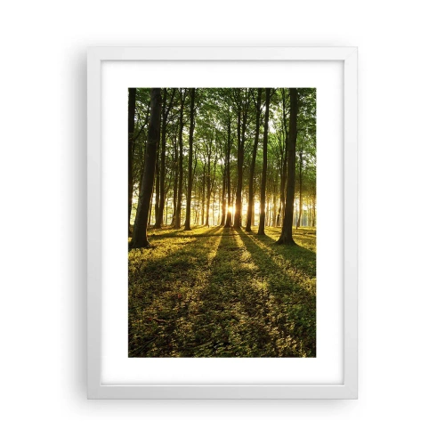 Plagát v bielom ráme - Fotografie všetkých jarí - 30x40 cm