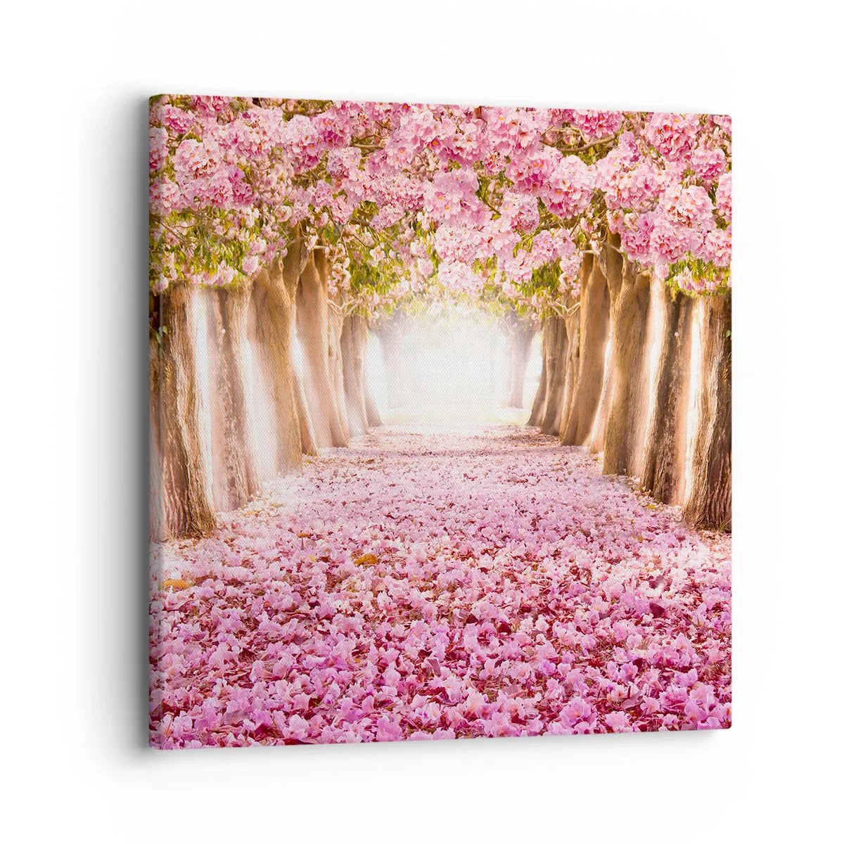 Obraz na plátne - Cesta do raja - 30x30 cm