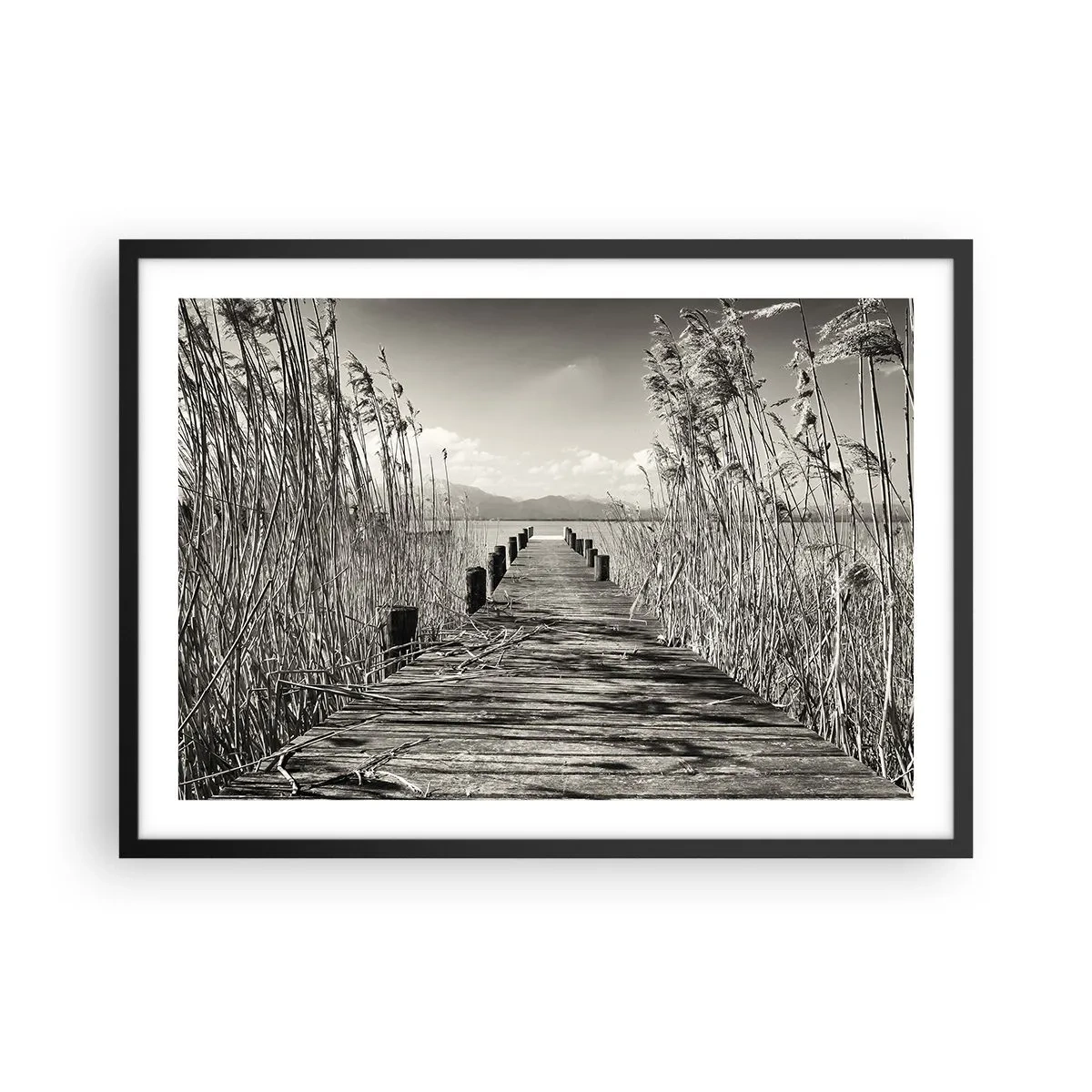 Plagát v čiernom ráme - V ústraní tráv - 70x50 cm