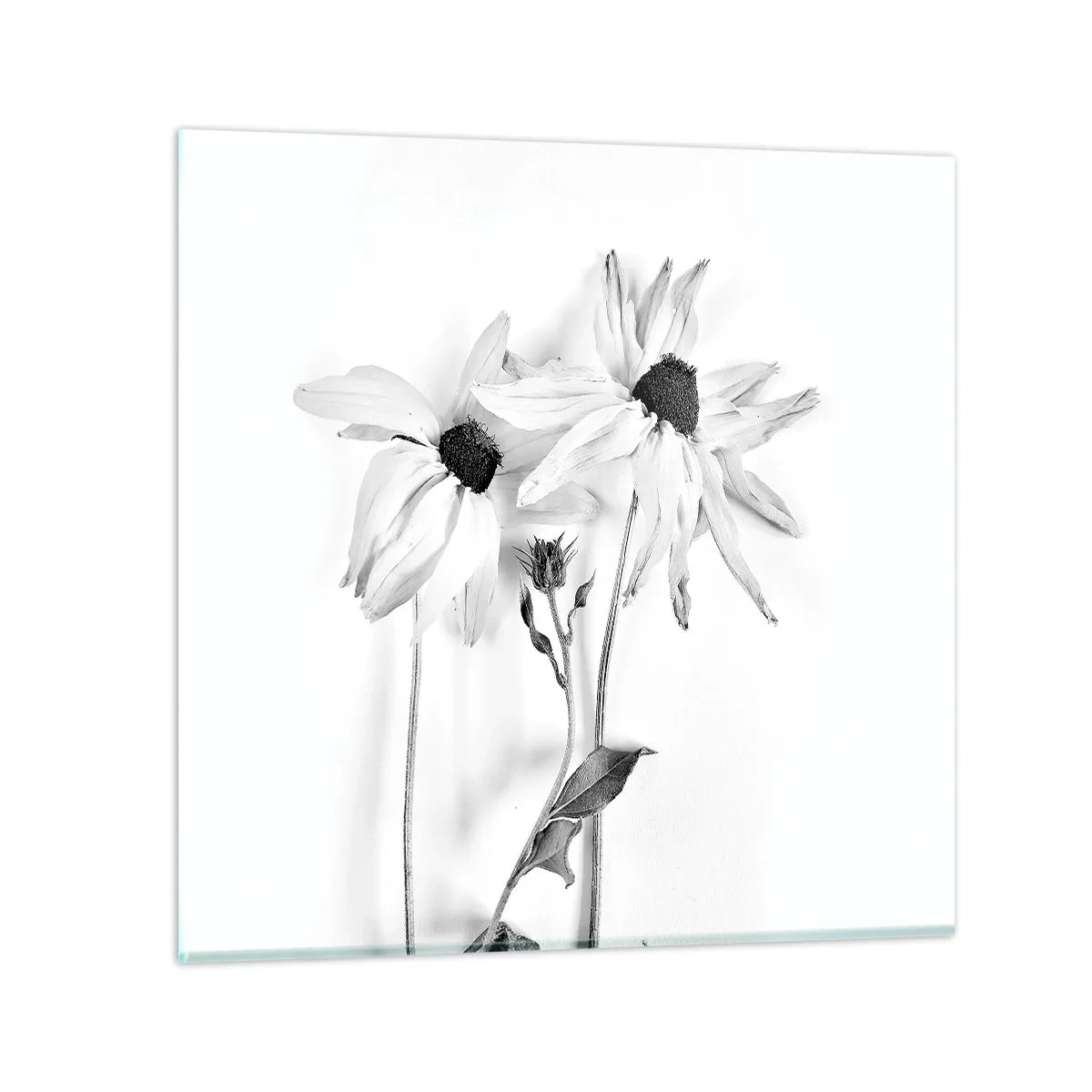 Obraz na skle - Nikto nechce byť sám - 40x40 cm