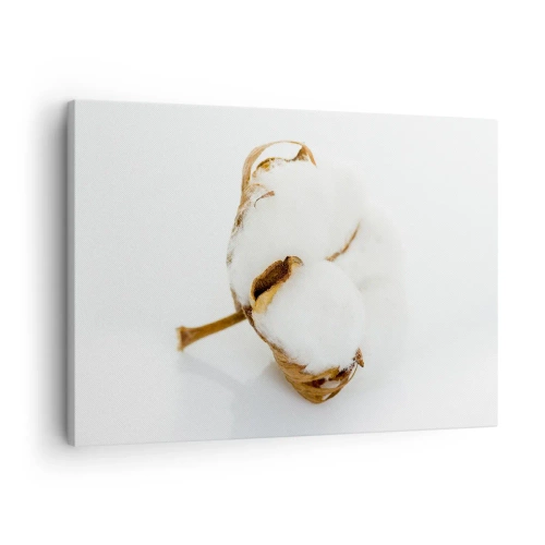 Obraz na plátne - Vetvička bavlny na svetlom pozadí v minimalistickom štýle - 70x50cm - Mäkká od prírody - Moderná nástenná dekorácia do obývacej izby a spálne ARTTOR