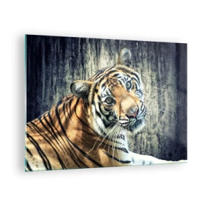 Obraz na skle - Tiger v prirodzenej póze oproti surovej stene - 70x50cm - Portrét v prameňoch svetla - Moderná nástenná dekorácia do obývacej izby a spálne ARTTOR