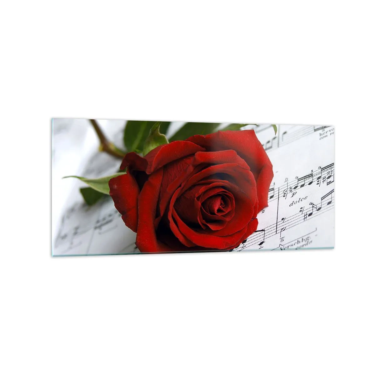 Obraz na skle - Hudba pocitu v šarlátovej - 120x50 cm