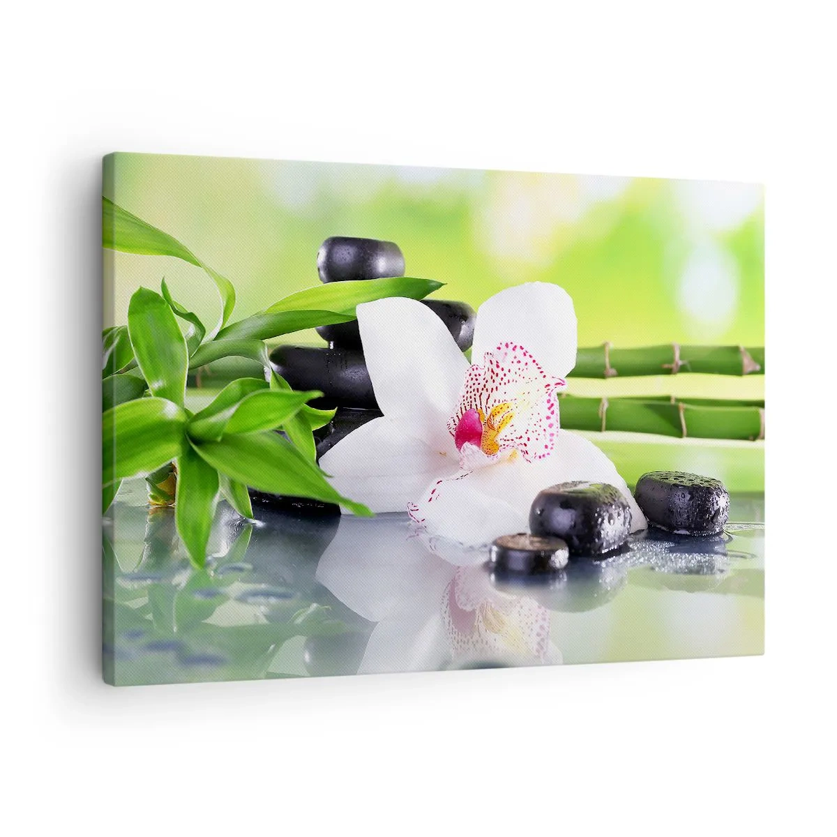 Obraz na plátne - Orchidea, kamene a bambus v harmonickej kúpeľnej kompozícii - 70x50cm - Chladná sviežosť - Moderná nástenná dekorácia do obývacej izby a spálne ARTTOR