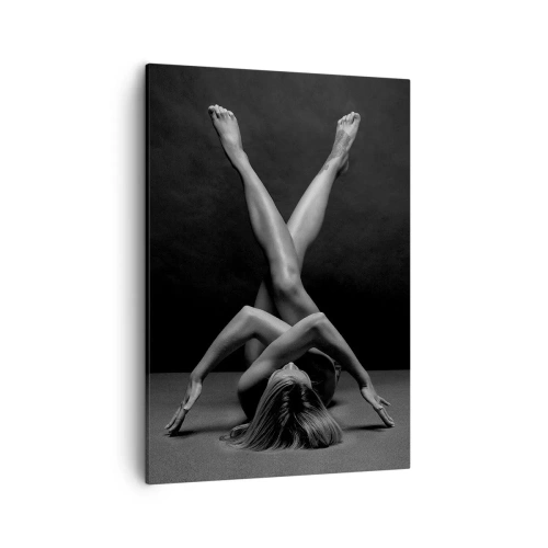 Obraz na plátne - Geometria nahoty - 50x70 cm
