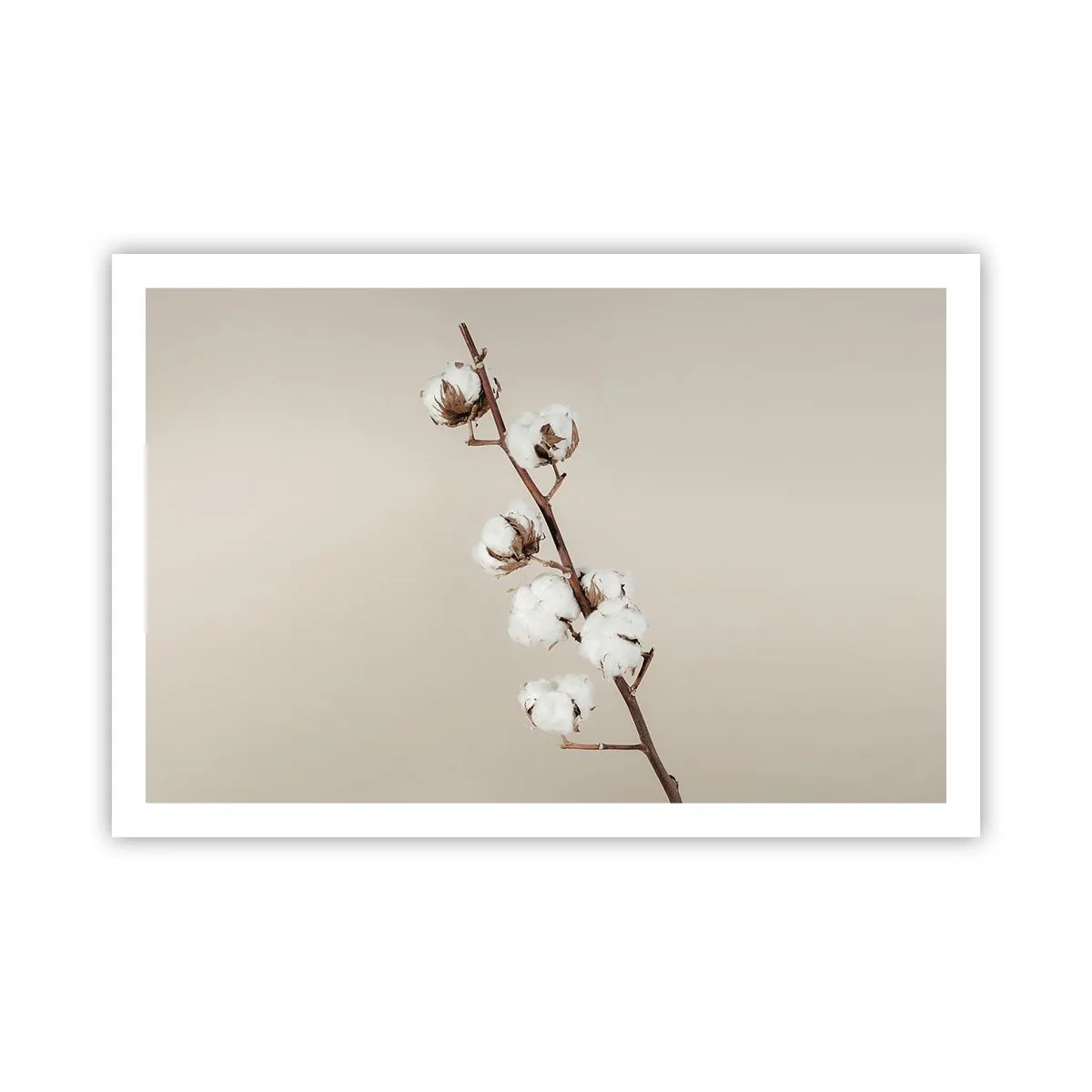 Plagát - Pri zdroji mäkkosti - 91x61 cm