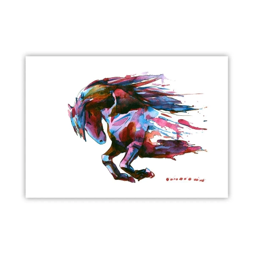 Plagát - Nadšenie - 100x70 cm