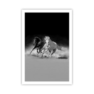 Plagát - Cval slobody - 61x91 cm