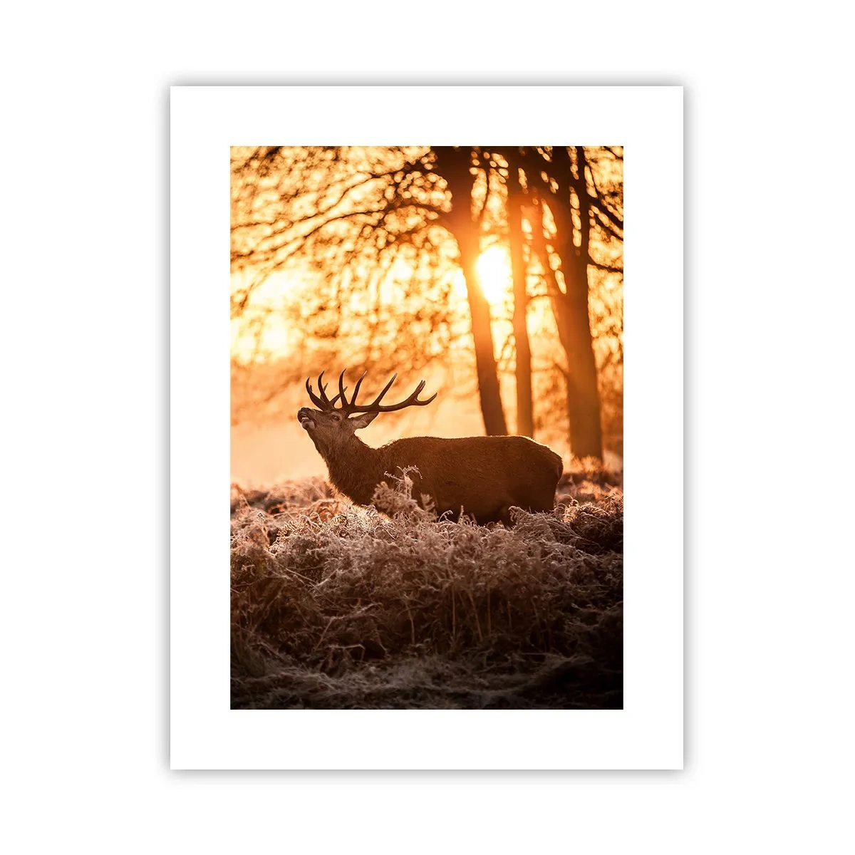 Plagát - Sen poľovníka - 30x40 cm