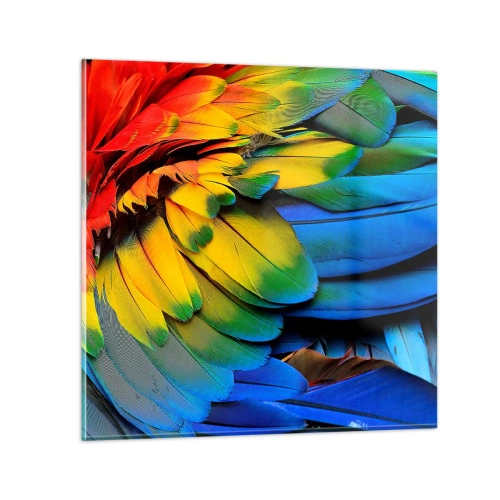 Obraz na skle - Nebeský vták - 70x70 cm
