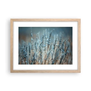 Plagát v ráme zo svetlého duba - Voňavý lán - 40x30 cm