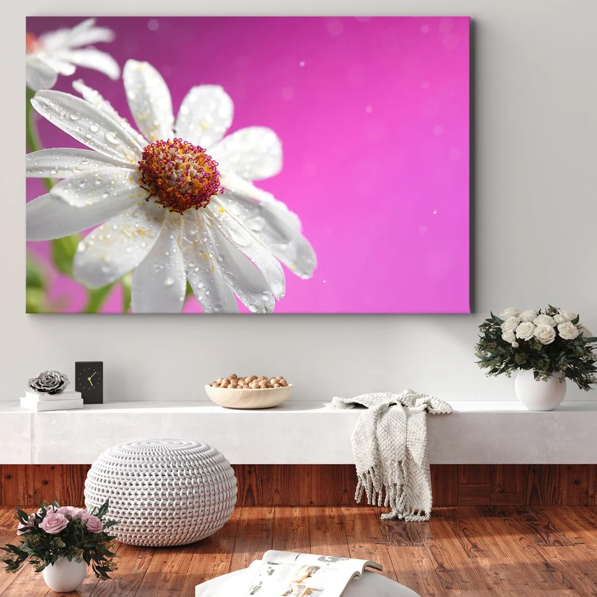 Obraz na plátne - Biela sedmokráska pokrytá kvapkami vody na ružovom pozadí - 70x50cm - Skromný vo svojej kráse - Moderná nástenná dekorácia do obývacej izby a spálne ARTTOR