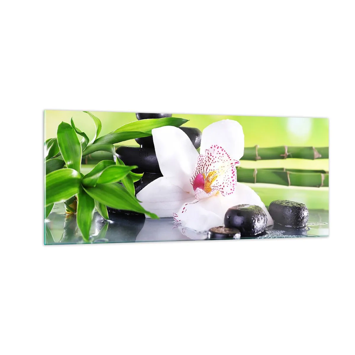 Obraz na skle - Chladná sviežosť - 100x40 cm