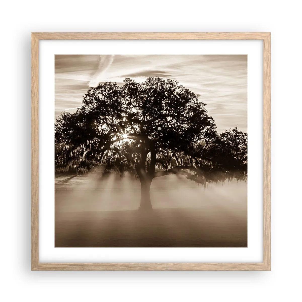 Plagát v ráme zo svetlého duba - Strom správ samotného dobra - 50x50 cm