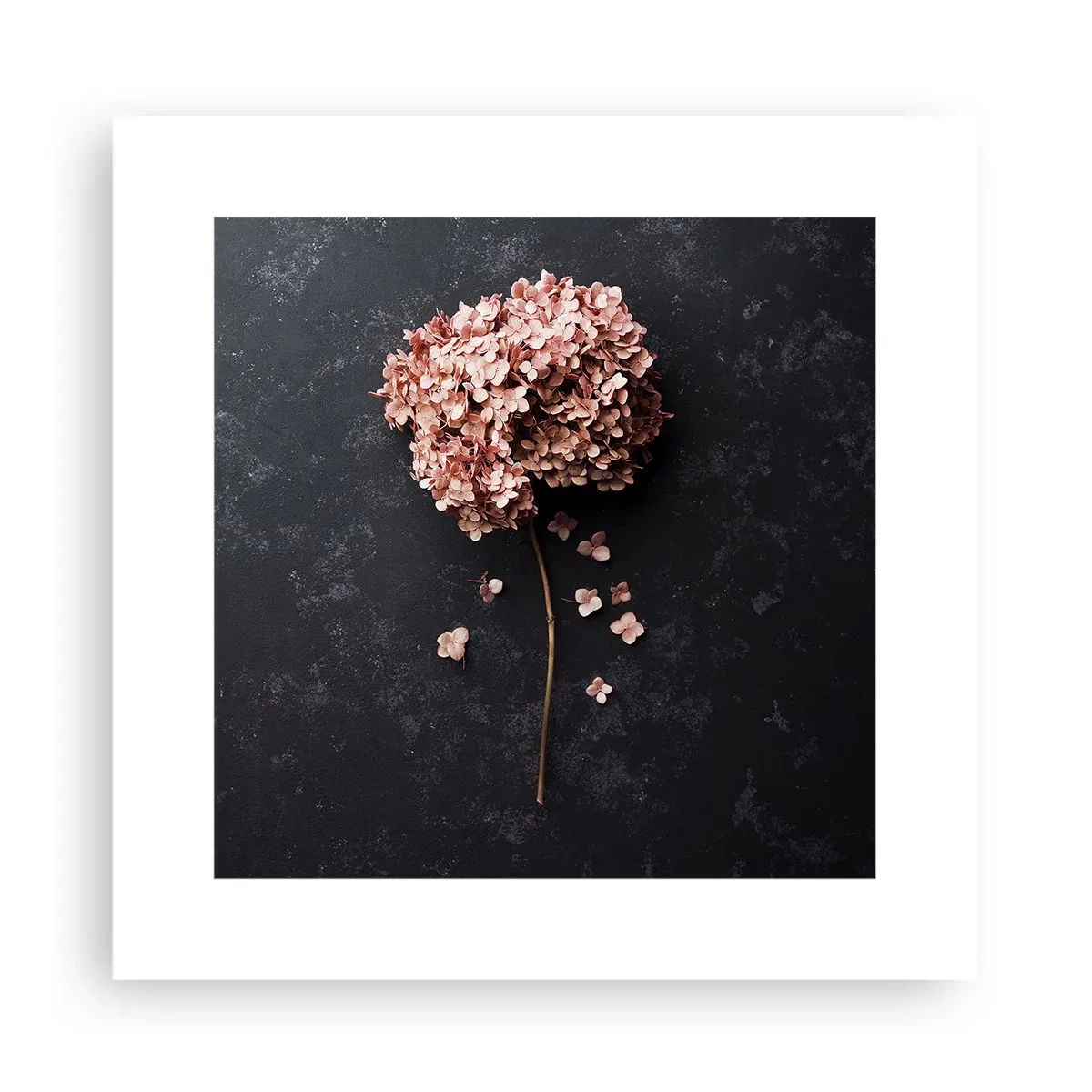 Plagát - Skutočne romantické znamenie - 30x30 cm