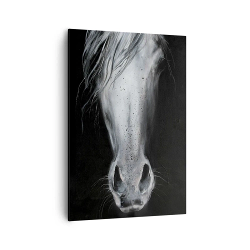 Obraz na plátne - Zvodný pohľad - 70x100 cm