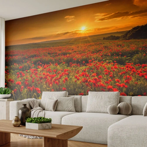 Fototapeta Standard Eco - Medzi vlnami šumiacich lúk, medzi záplavou kvetov - Krajina, Kvety, Vlčie maky - 350x256 cm