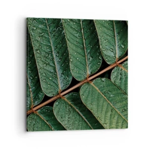 Obraz na plátne - V zelenom rytme - 70x70 cm