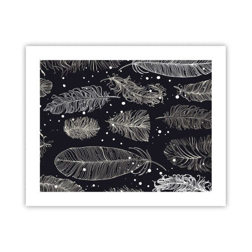 Plagát - Čipka s perím - 50x40 cm