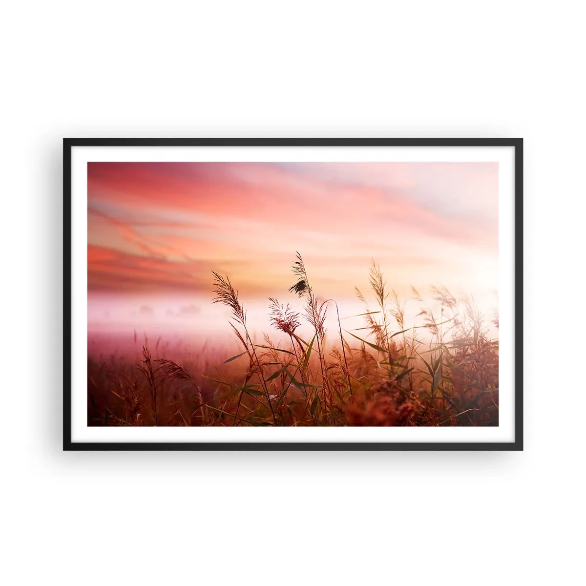 Plagát v čiernom ráme - Draci, púpavy a vietor - 91x61 cm