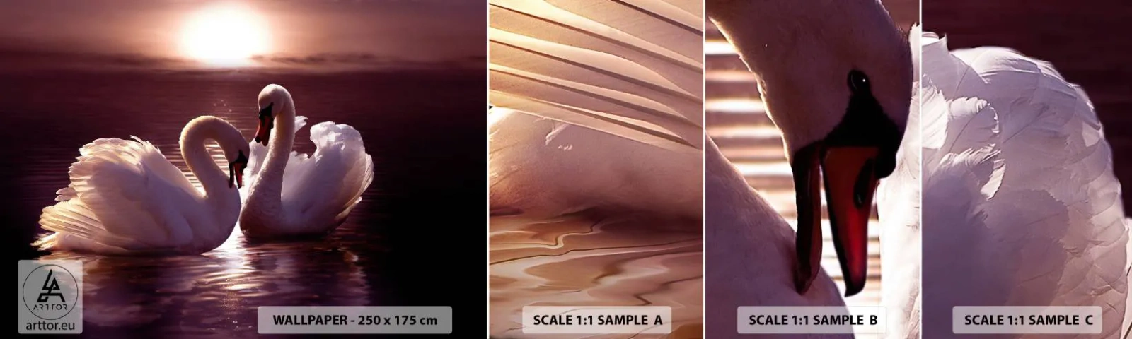 Vzorka Fototapeta Standard Eco - Kým nás smrť nerozdelí - Zvieratá, Krajina, Labute - 100x30 cm