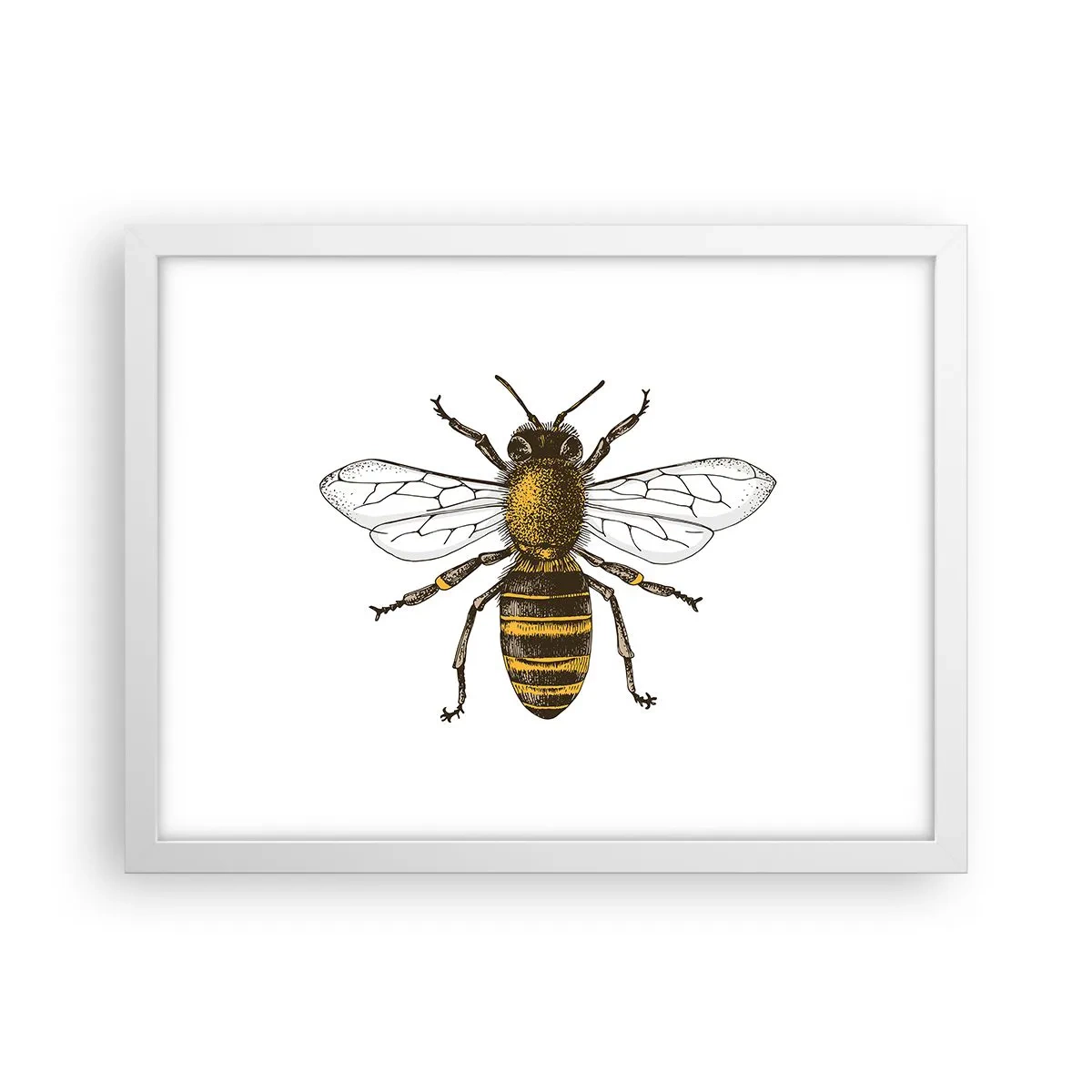 Plagát v bielom ráme - Krásna a dobrá - 40x30 cm