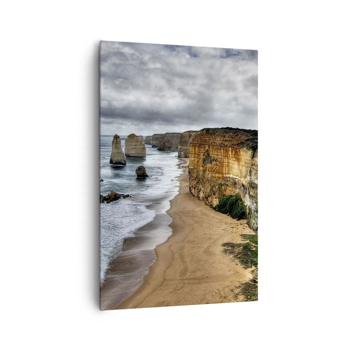 Obraz na plátne - Drsná krása - 80x120 cm