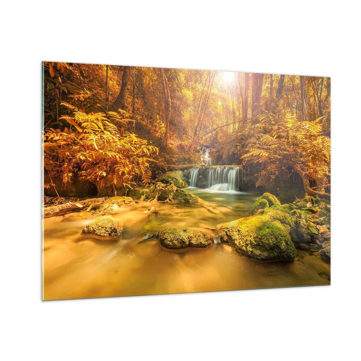 Obraz na skle - Lesný vodopád v zlate - 100x70 cm
