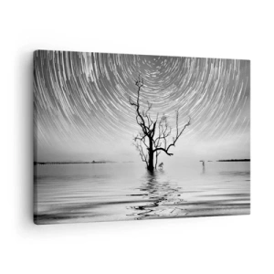 Obraz na plátne - Strom vo vode pod nočnou oblohou s pohybujúcimi sa hviezdami - 70x50cm - Symfónia prírody - Moderná nástenná dekorácia do obývacej izby a spálne ARTTOR