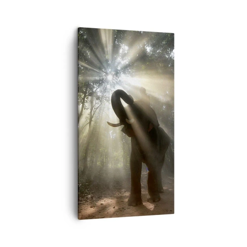 Obraz na plátne - Pod šťastnou hviezdou - 45x80 cm