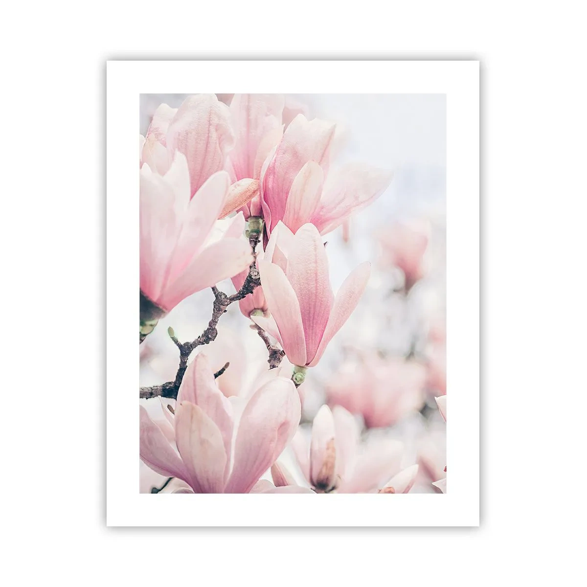 Plagát - Ideál jemnosti - 40x50 cm