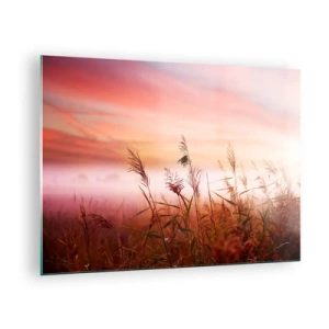 Obraz na skle - Lúka v rannej hmle s pastelovou oblohou - 70x50cm - Draci, púpavy a vietor - Moderná nástenná dekorácia do obývacej izby a spálne ARTTOR