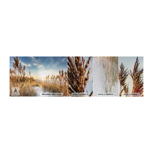Vzorka fototapety Premium Canvas - Severná pláž - Krajina, More, Pláž - 100x30 cm