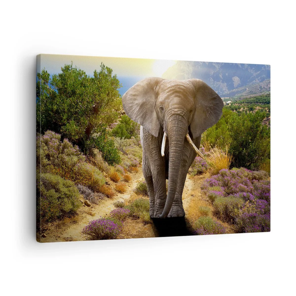 Obraz na plátne - Africký slon na pozadí savany a horskej krajiny - 70x50cm - Tak vyzeral Raj - Moderná nástenná dekorácia do obývacej izby a spálne ARTTOR