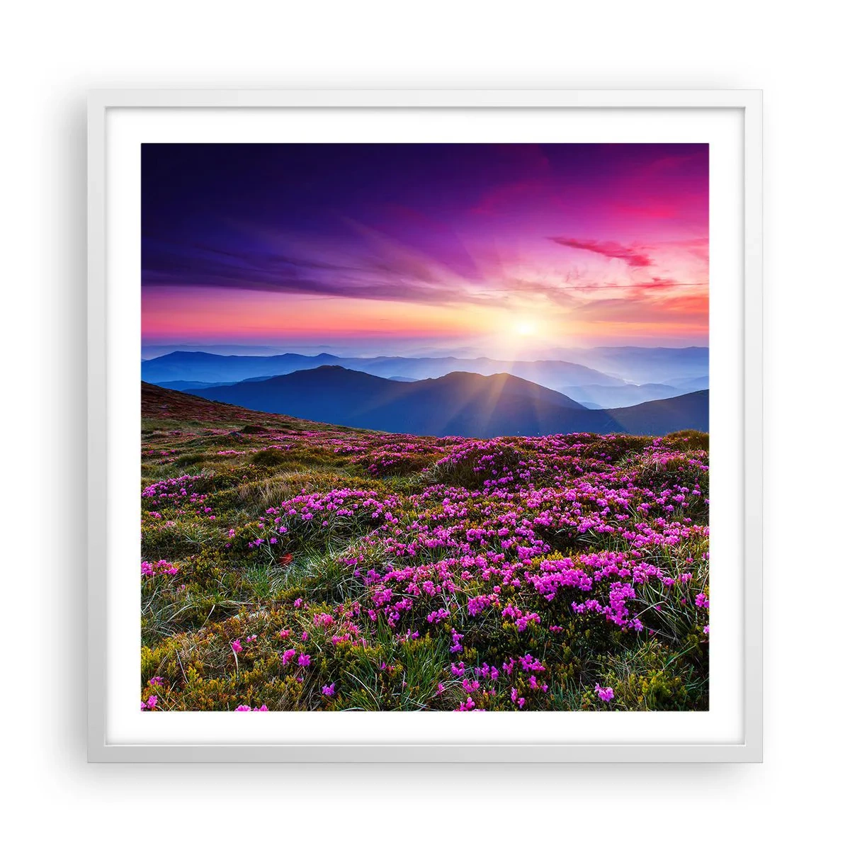 Plagát v bielom ráme - Zavoňali svieže púčiky byliniek z obilných polí - 60x60 cm