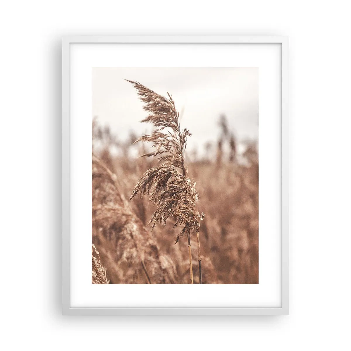Plagát v bielom ráme - Na poliach už je jeseň - 40x50 cm