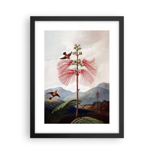 Plagát v čiernom ráme - V tropickom raji - 30x40 cm