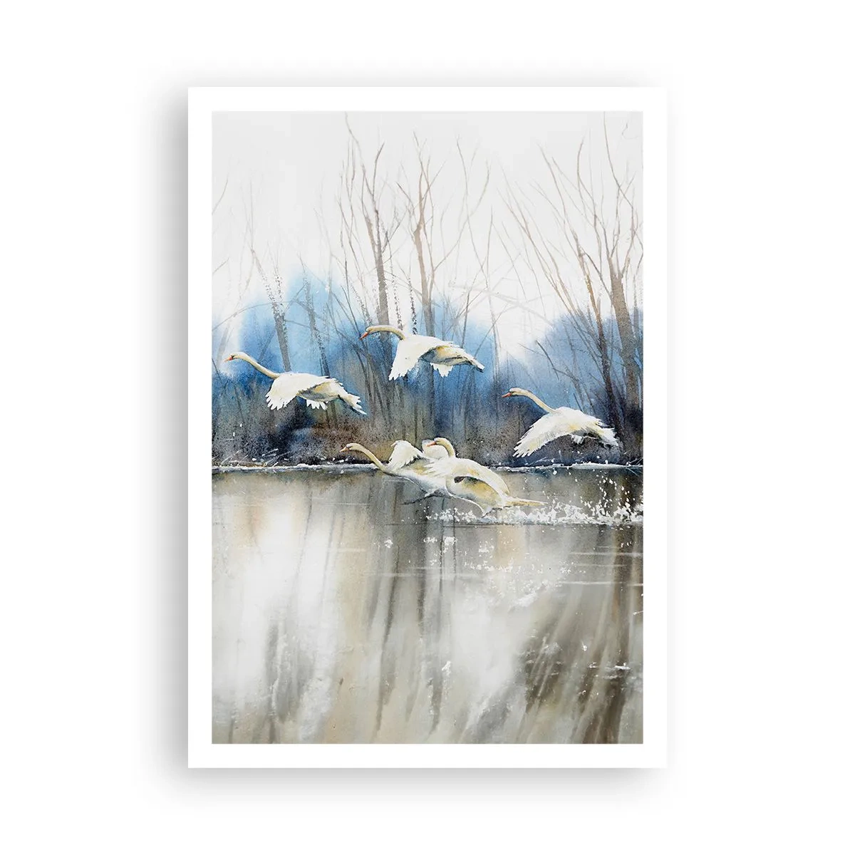 Plagát - Ako v poviedke o divokých labutiach - 70x100 cm