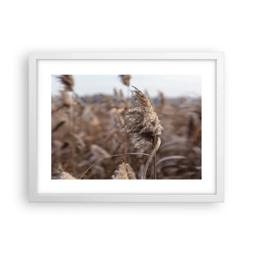 Plagát v bielom ráme - Čas odletieť s vetrom - 40x30 cm