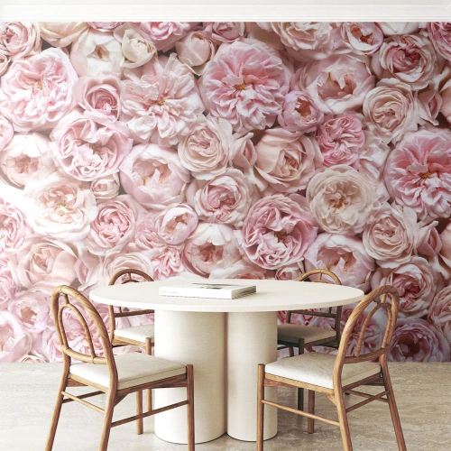 Fototapeta Standard Eco - Vydláždená ružami - Kvety, Pastel, ruže - 350x256 cm