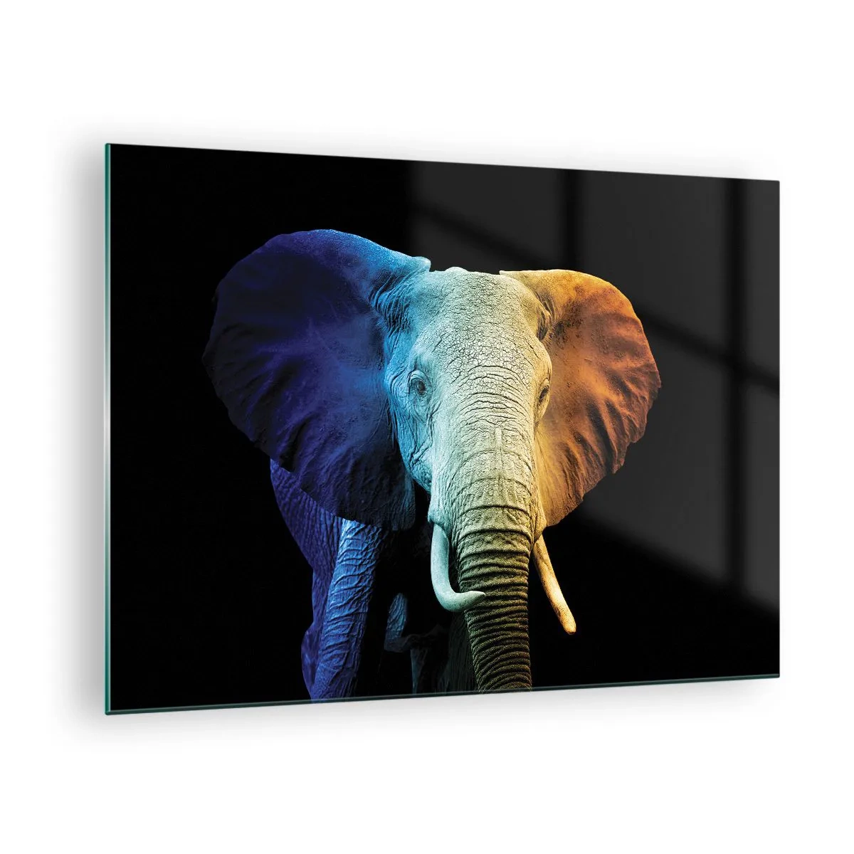 Obraz na skle - Farebný portrét slona na čiernom pozadí - 70x50cm - Excentrický muž, avšak nie podivín - Moderná nástenná dekorácia do obývacej izby a spálne ARTTOR