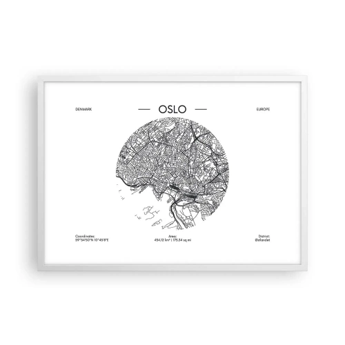 Plagát v bielom ráme - Anatómia Osla - 70x50 cm