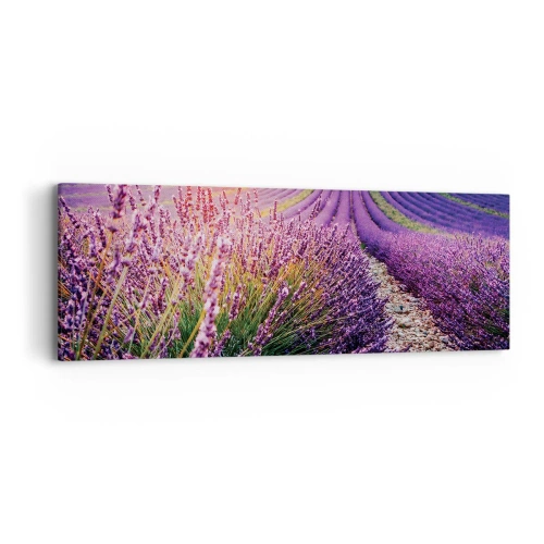 Obraz na plátne - Voňavý lán - 90x30 cm